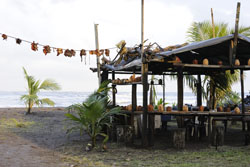 Tortuguero dorpje cocos stalletje op het strand
